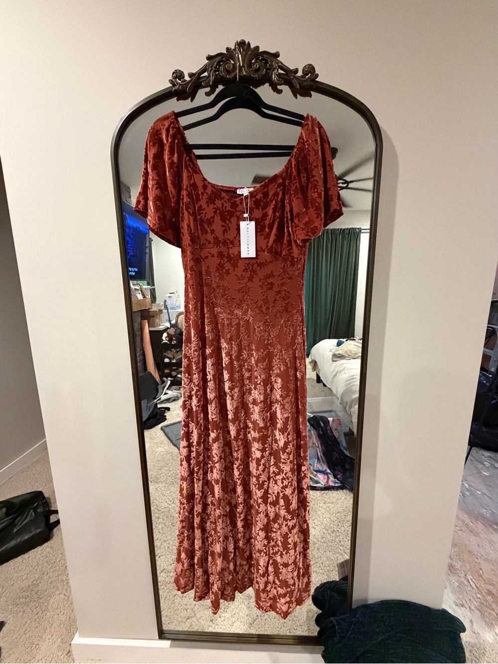 Staccato Rust Velvet Burnout Maxi Dress